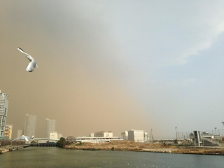 Illustration for article titled Sand, Smog, or Something Covered Japan in a Yellow Haze